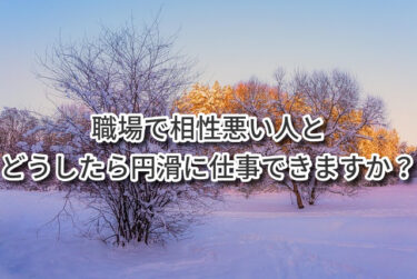 職場で相性悪い人とどうしたら円滑に仕事できますか？
