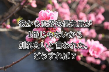 彼から恋愛の優先度が1番じゃないから別れたいと言われた。どうすれば？
