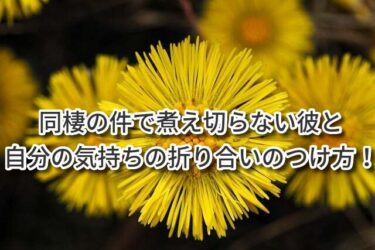 同棲の件で煮え切らない彼と自分の気持ちの折り合いのつけ方！