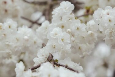 仕事も恋愛も人間関係も生きづらい。どうすれば？