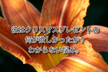 彼はクリスマスプレゼントの何が欲しかったか？わからない悩み。