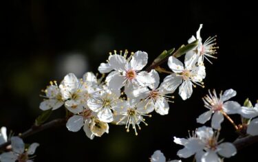 善意を受け取ることに罪悪感がある場合はどうしたらいい？