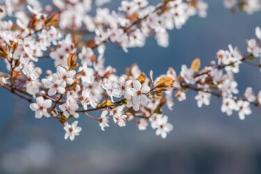 生き方のポリシーと友達選び＆好きになる恋愛感情は別じゃない？