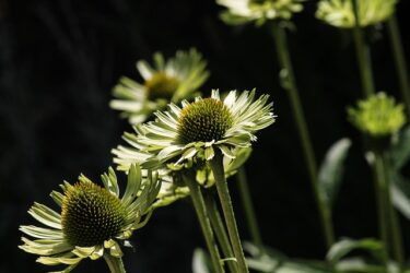 同棲はできても結婚はできない？結婚を進めるには？