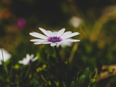 不機嫌な夫に対して妻はどのように振る舞っていけばいいの？