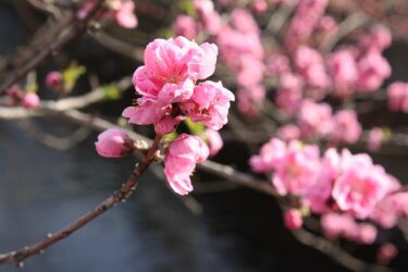 厳しい店主とうまく折り合いをつけて働くにはどうすればいい？