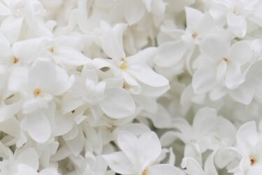 彼の言葉と行動が信じられなくなってきた。どうすればいい？