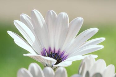 不倫をしてる人を見ると悔しい気持ちが出る心理
