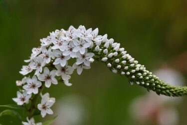 住環境を整えたいけど理想がわからない悩み。