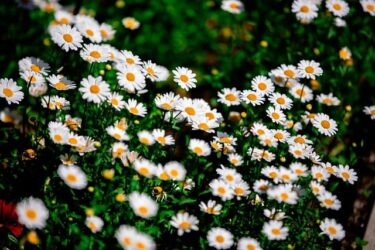 クラブで出会ったワンナイト男性と恋愛関係になるには？