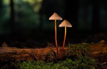 元彼から連絡が来た心理と目的はなんですか？