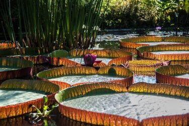 仕事のモチベを上げるにはどうすればいいですか？