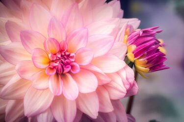 メンタルを整えるのに何をやればいいのか？