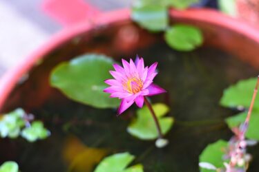 相手を許す&受け入れる&なめられることの違いは？