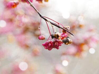 興味の無い相手に思わせぶりな態度をしてしまう、去り方は？