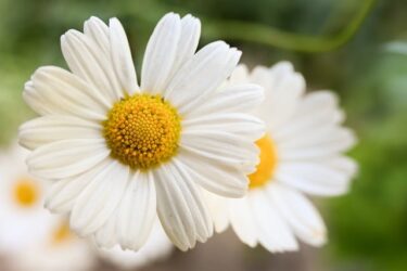 相手に「自己主張をすること」と「愛を持った沈黙」はどう使い分ける？