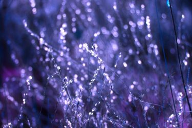 夫が不安定で不機嫌。 関わり方が合っているのかアドバイスが欲しい