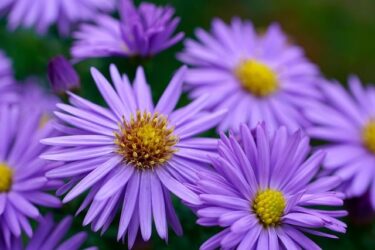 結婚相手を決めるための大切な視点はなんですか？