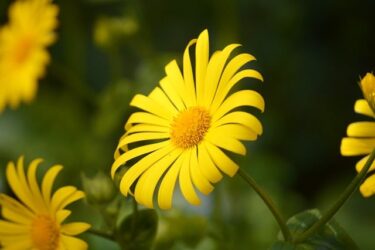 夫と喧嘩すれ違うコミュニケーション。何を改善すればいい？