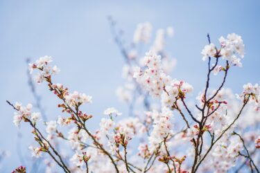 離婚した方がいいのか？考え方のポイント&夫の思い込み&夫の結婚に対する自覚についてアドバイスが欲しい