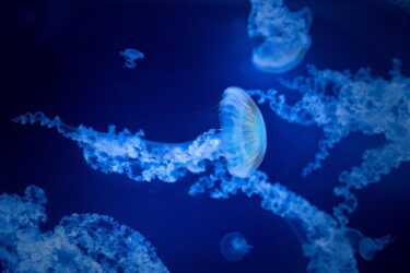 マッチングアプリで知り合った男性との今後の進め方