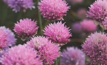 「デート中の男性から家に行きたいと言われた」その心理と温度感は？