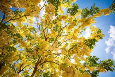 興味持てない人に誠実な態度で断るにはどうしたらいい？