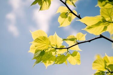 キャラ&人格作りは気持ちを切り替えるのに役立ちますか？