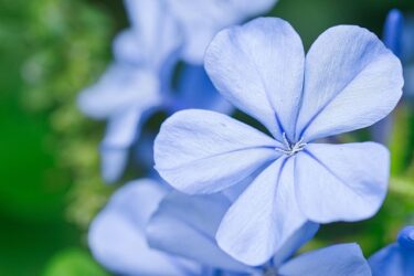 罪悪感を抱える彼とどう関わるのが正解？