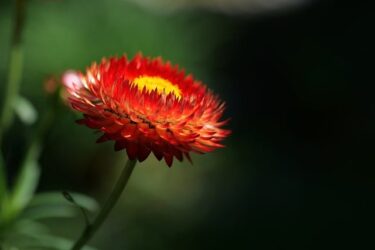 浮気防止で釘を刺すことに疲れてきた悩み