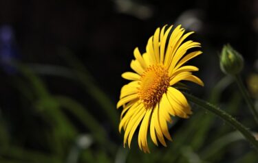 思考違う男性に気持ちをわかってもらうにはどうしたらいいですか？